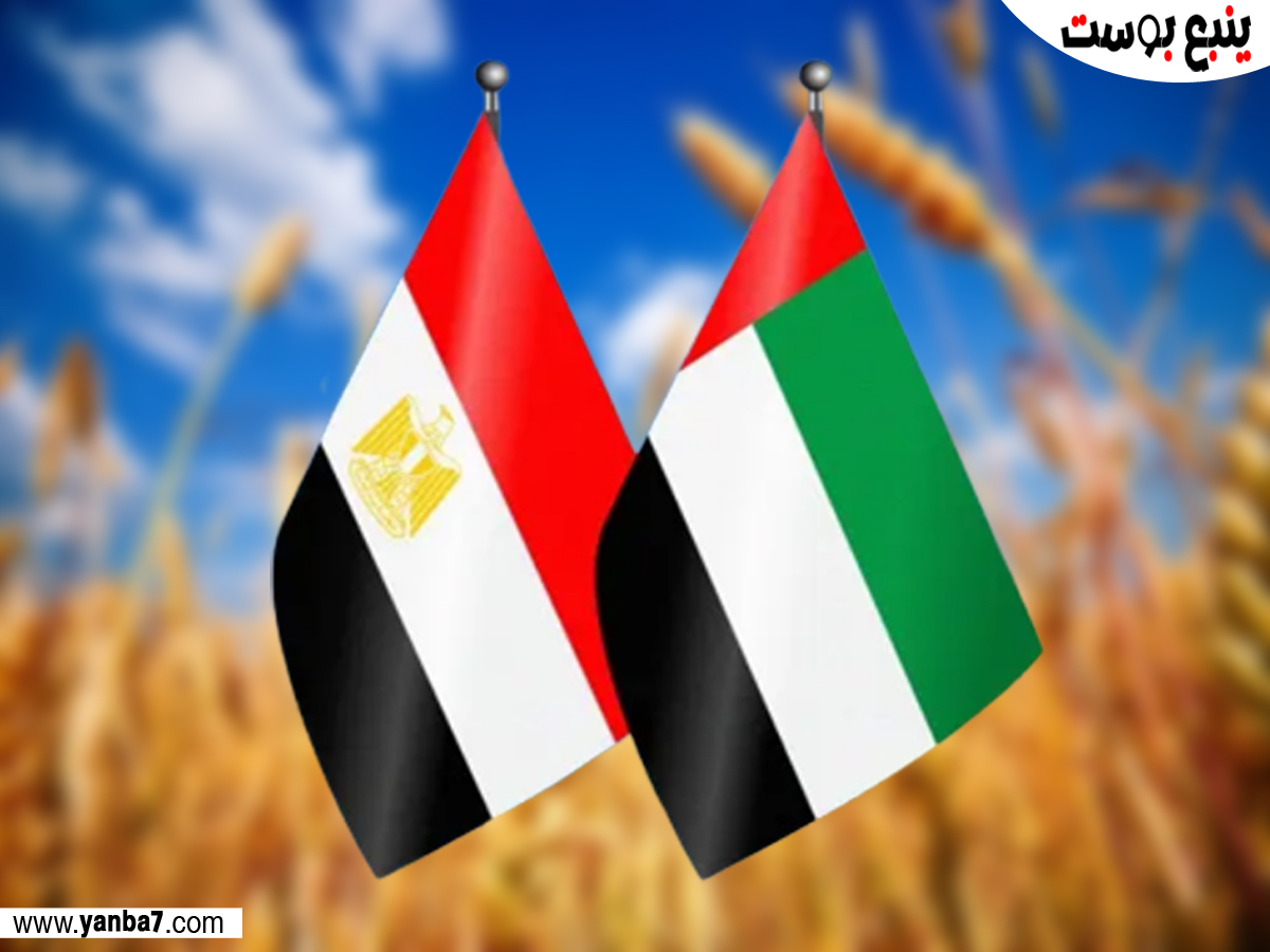 مصر تبرم اتفاق مع الإمارات لاستيراد القمح لـ 5 سنوات قادمة https://www.yanba7.com/2544/ #تشيلسي_وست_هام #نايف_أكرد