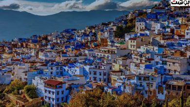 رابط التسجيل في الإحصاء العام للسكان