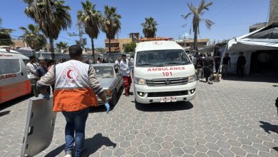 6833e67b4236045107564ad9