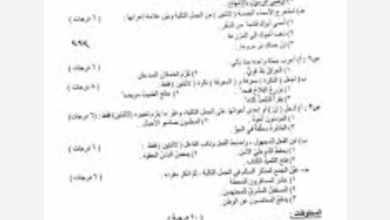 نموذج حل أسئلة اللغة العربية للصف السادس الابتدائي الدور الأول 2025 في العراق