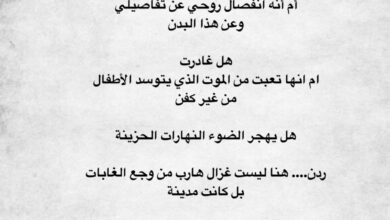 الشيخة ردن بنت خالد القاسمي